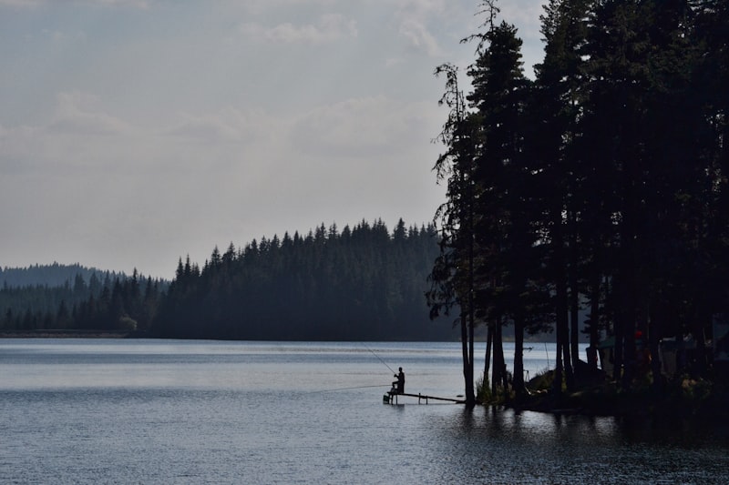 Angler am See mit Angelrute